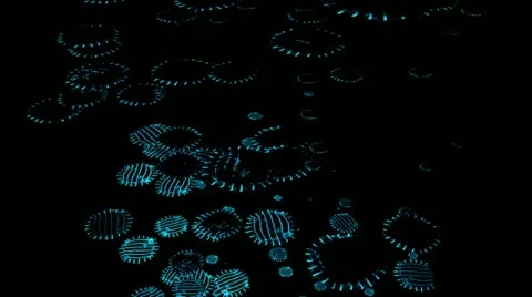 Bloby blue Stock Footage 11900609