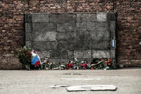 Block 10 execution wall concentration camp Auschwitz Birkenau KZ Poland Foto stock