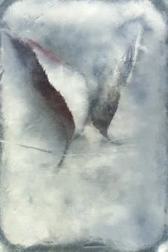 Block of ice frozen solid in cold weather trapping two fallen leaves Stock Photos