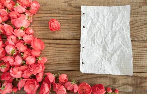 Block notes and red roses on wooden background Stock Photos