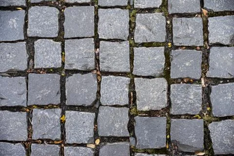 Block pavement square stone on the floor Stock-Fotos
