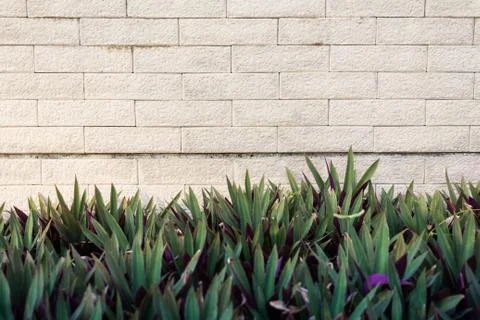 Block wall Stock Photos