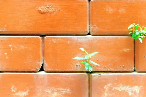 Block wall Stock Photos