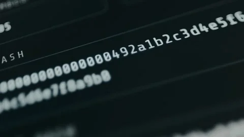 Blockchain Ledger Block with hash and previous hash display, Blockchain Database Stock Footage 331569722