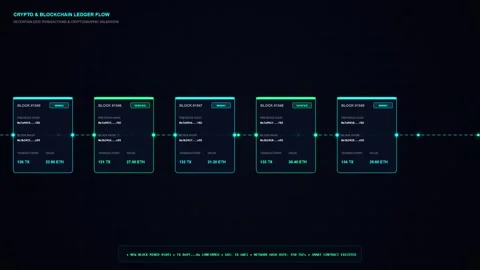 Blockchain network visualization with connected transaction Stock Footage 344232297