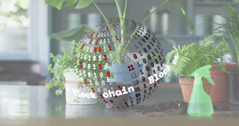 Blockchain sphere materializing around ceramic pot, rotating clockwise Stock Footage 318626503