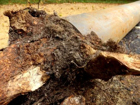 Blocked drainage pipe Stock Photos