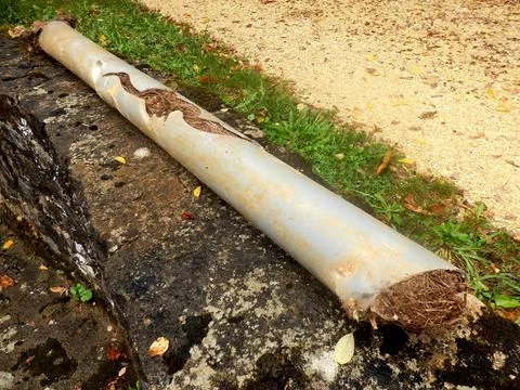 Blocked drainage pipe Stock Photos