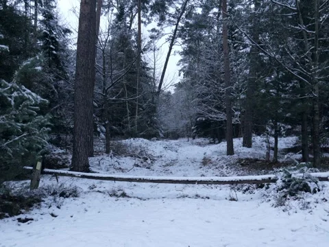 A blocked path in the winter, snow covered Видео 342543756