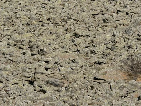 Blockfield (Stone field) : surface covered by angular shattered rocks Stock Photos