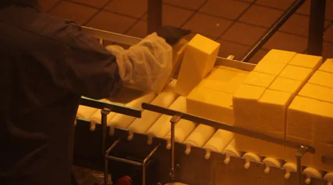 Blocks of Cheddar cheese being hand sorted 1 Stock-Footage 39173493