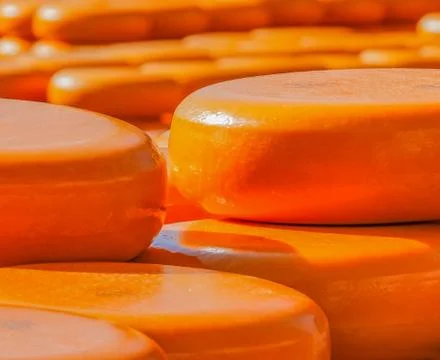 Blocks of round cheese Stock Photos