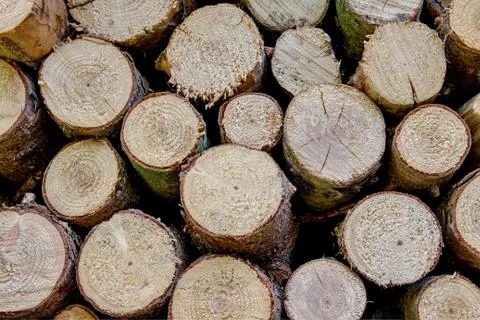 Blockwoods Stock Photos