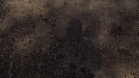 The blogger's shadow waves. The shadow of a man walking through the forest Stock Footage 108283376