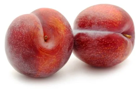 Blommer Stock Photos