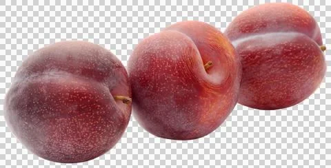 Blommer Stock Photos