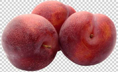 Blommer Stock Photos