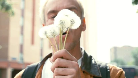 Blond boy blows the dandelion. Slow motion. close-up Stock Footage 108555738