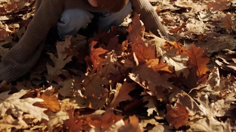 A blond boy cheerfully throws up fallen leaves. Stock Footage 262759901