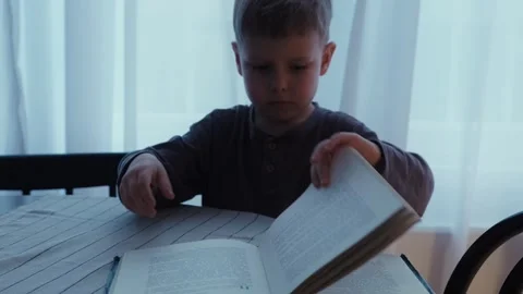 A blond boy flips through the pages of a book and examines the illustrations. Stock Footage 242142748