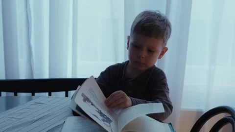 A blond boy flips through the pages of a book and examines the illustrations. Stock Footage 242142765