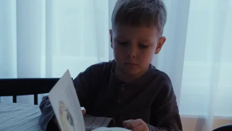 A blond boy flips through the pages of a book and examines the illustrations. Stock Footage 242142786