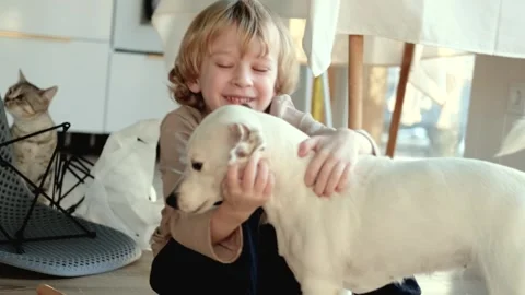 Blond boy hugging jack russell dog sitting on kitchen floor 스톡 동영상 305944585