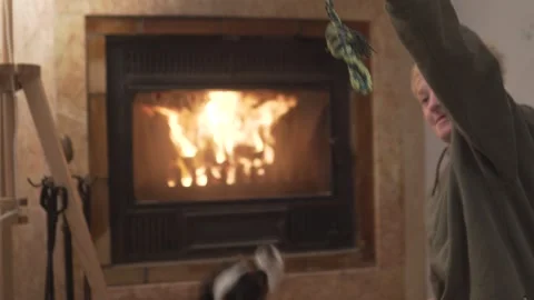 Blond boy playing with his dog at home by the fireplace with firewood, Stock Footage 321943846