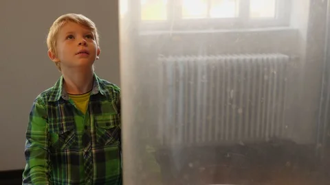 Blond boy plays with floating ball in the air. Stockbeeldmateriaal 123501712