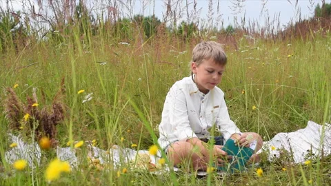 A blond boy reads a book during a picnic in a meadow Stock Footage 135864648