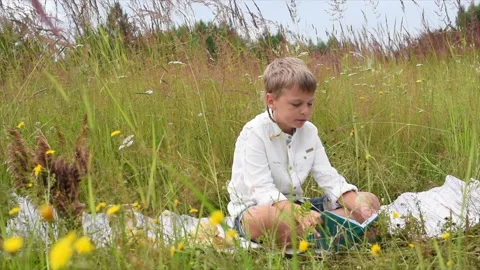A blond boy reads a book during a picnic in a meadow Vidéo 135870549