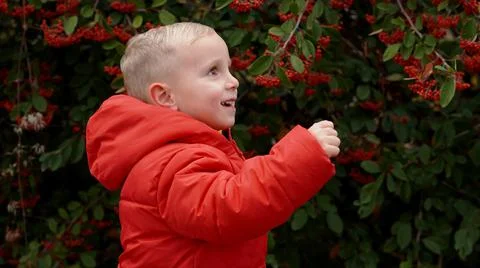 Blond boy in a red jacket smiling happily raising his head .profile view Stock Photos