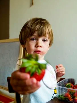 Blond child of 3 years eats a big strawberry Stock Photos