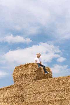 Blond child sits on huge haystack in the village against blue sky. Harvesting 스톡 사진