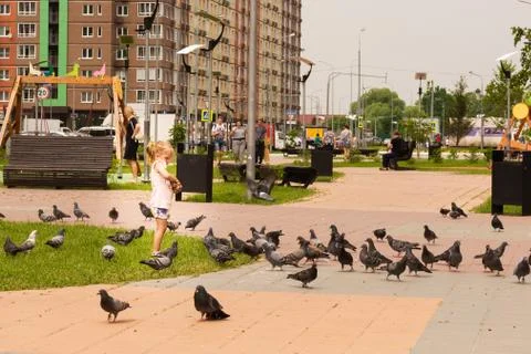 Blond girl in the summer in a T-shirt and shorts in a city square feeds pigeons. Stock Photos