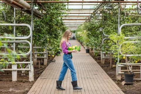 Blond girl working in the greenhouse Stock Photos