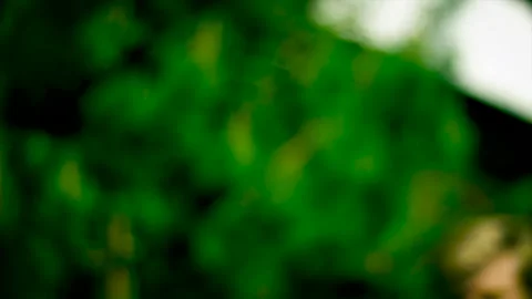 Blond man with a beard appears and answers the phone, smiles, blurred background Stock Footage 131247248