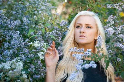 A Blond Model Stock Photos