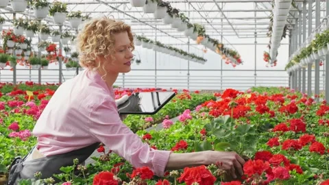 Blond woman taking notes while working in greenhouse center. Middle age female Stock Footage 154202475