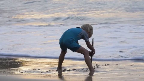 Blonde boy digging a wet sand on beach Stock Footage 71540998