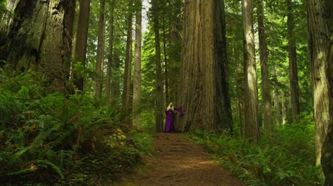 Blonde Princess Standing by Massive Tree Trunk Stock Footage 35297355
