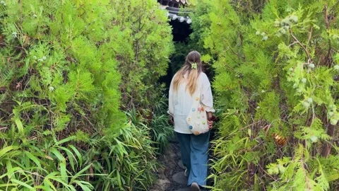 Blonde woman walking down a path in a green garden Stock-Footage 343066275