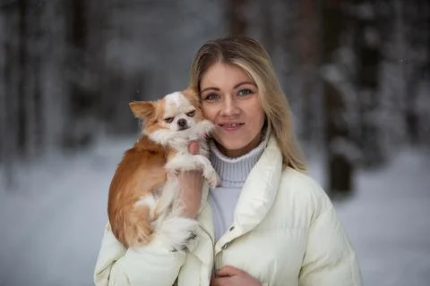 Blonde young female holding ginger and white chihuahua in her hands. Snow and Stock Photos