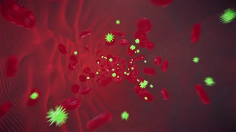 Blood And Bacteria Flows Stock Footage 116605172