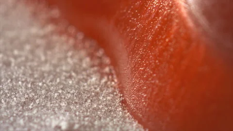 Blood and ice Stock Footage 193140883