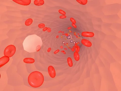 Blood in an artery 库存影片 10804775