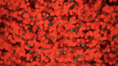 Blood background animation Video stock 63234559