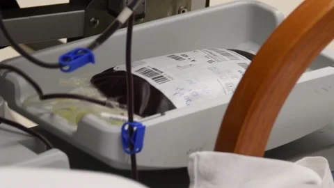 Blood bag Stock Footage 148326022