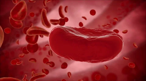 Blood cell, eritrocite inside organism view. Medical concept. HUD monitor Stock Footage 59509166