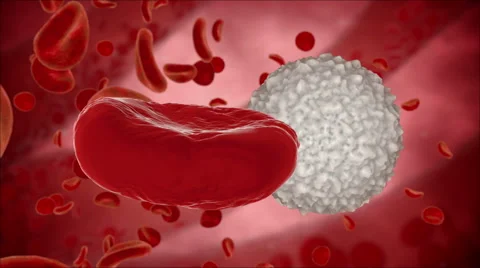 Blood cell, eritrocite inside organism view. Medical concept. HUD monitor Stock-Footage 59509505